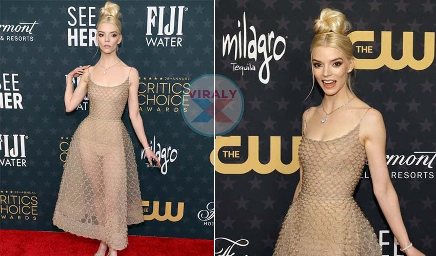 Read more about the article Anya Taylor-Joy and Critics’ Choice Awards 2023 Delight
