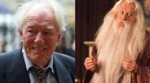 Read more about the article Michael Gambon: The Enigmatic Albus Dumbledore of Harry Potter Fame