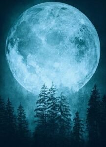 Read more about the article The Full Beaver Moon Light is the Next-To-Last Full Moon of 2023-2024